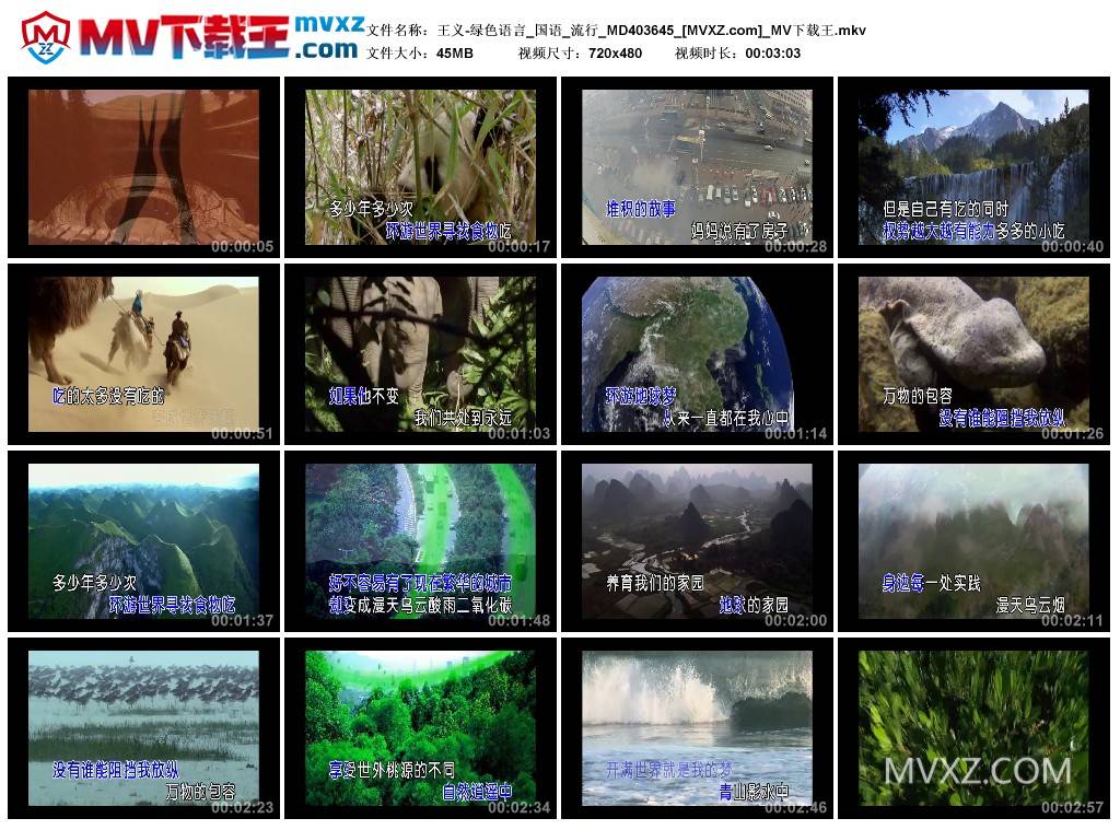 王义-绿色语言_国语_流行_MD403645